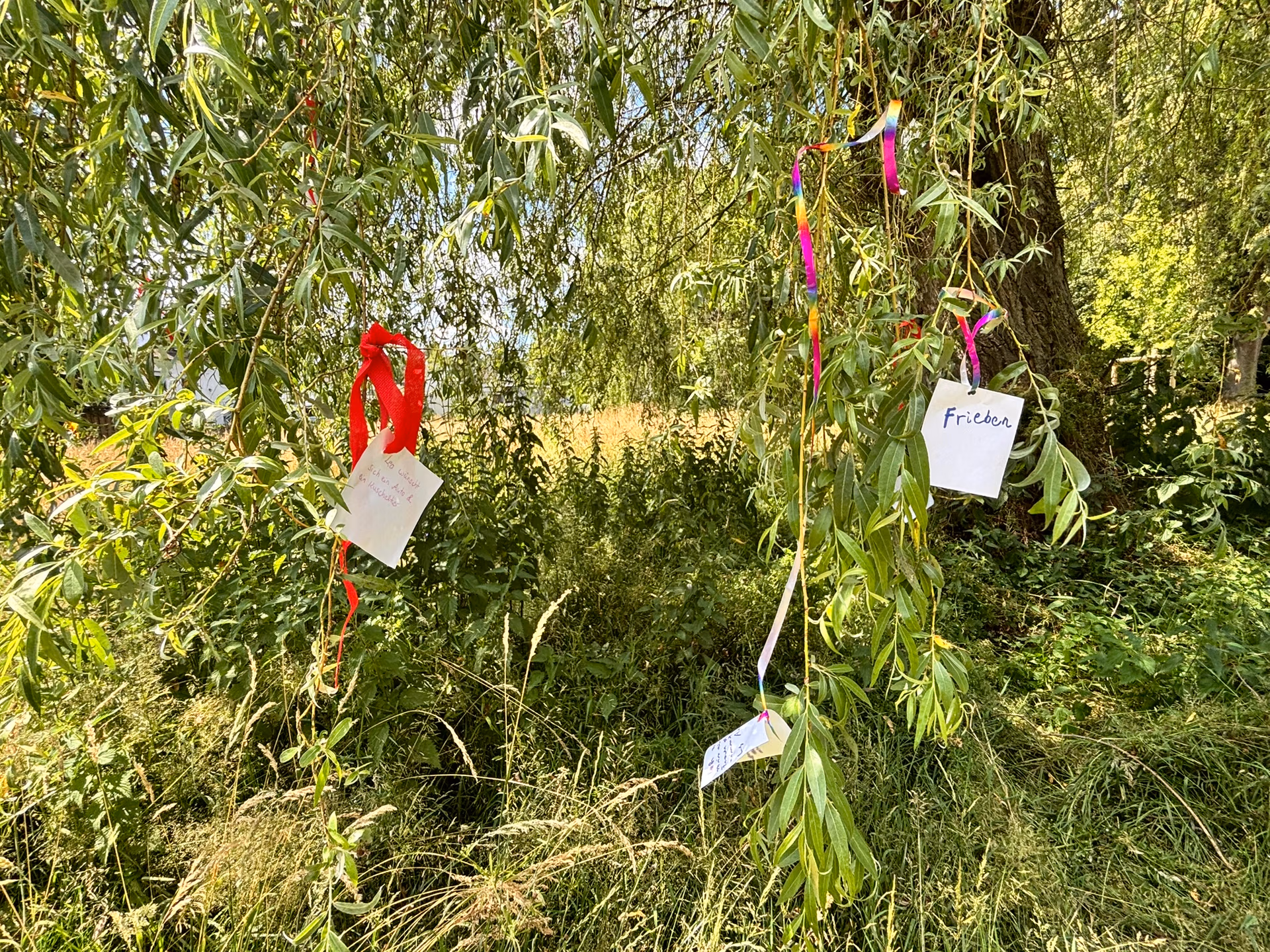 Gemeinsam an das Gute glauben img 8115